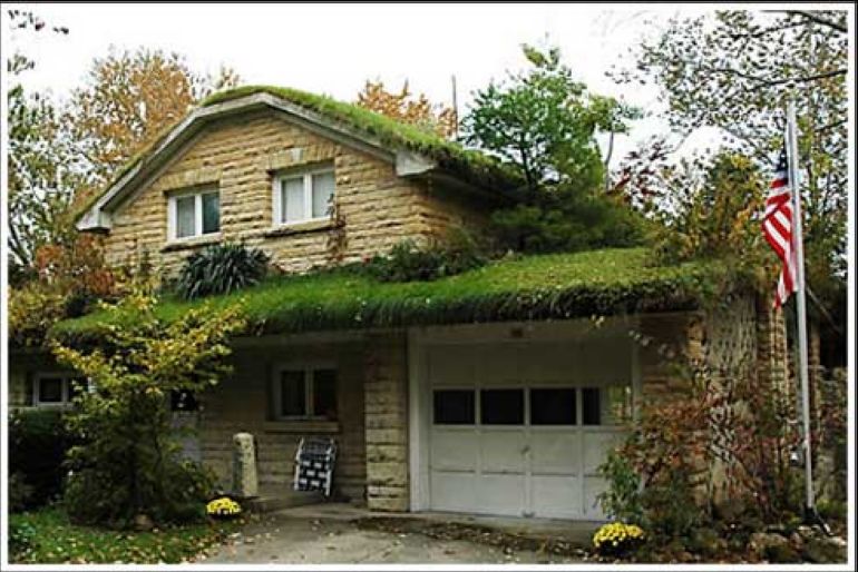 Trava na strehi (slika 2)